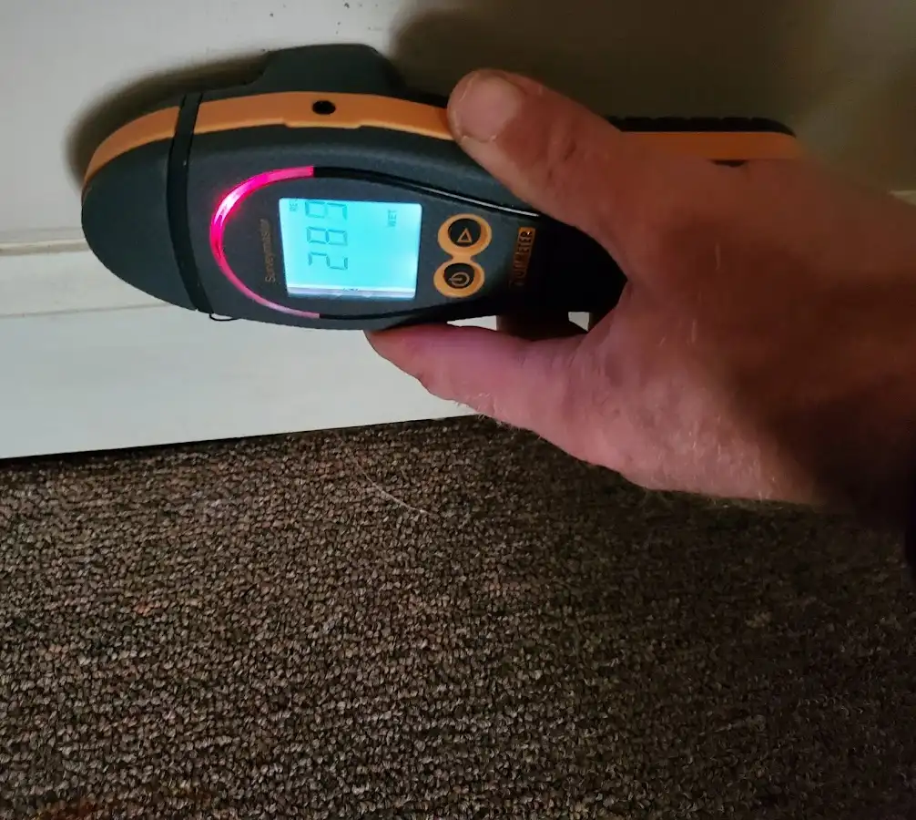 Moisture detection at baseboard during Mold Inspection & Testing in Cherryville